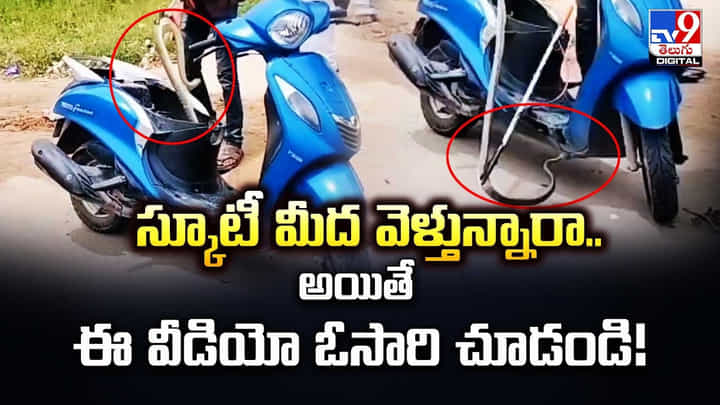 స్కూటీ మీద వెళ్తున్నారా.. అయితే ఈ వీడియో ఓసారి చూడండి స్కూటీ మీద వెళ్తున్నారా.. అయితే ఈ వీడియో ఓసారి చూడండి