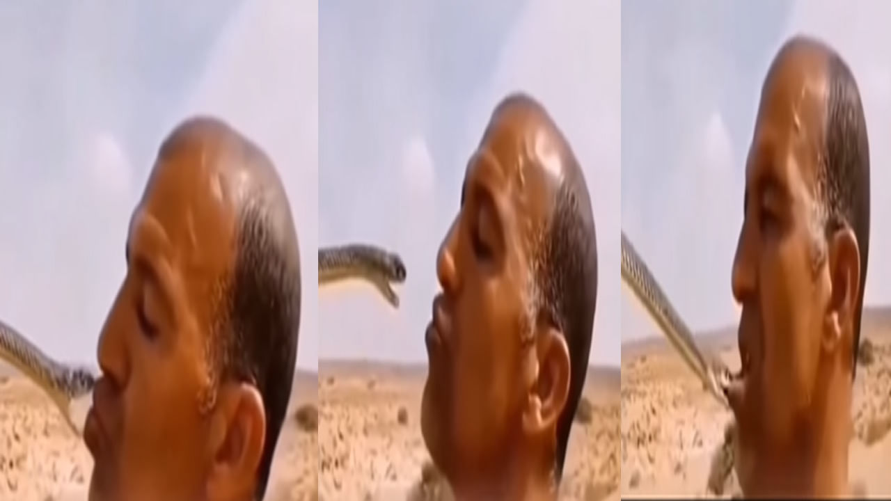 పాముని పట్టుకుని టీజ్ చేస్తున్న వ్యక్తి.. పాము చేసిన దాడి చూస్తే గూస్బంప్స్ ఖాయం.. వీడియో వైరల్