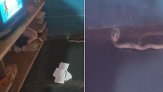 Viral Video: స్వర్గంలో భూమిని అమ్ముతున్న ఫాస్టర్.. దేవుడిని కలిసి పర్మిషన్ తీసుకున్నానంటూ ప్రకటన