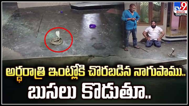 Snakes: అర్ధరాత్రి ఇంట్లోకి చొరబడిన నాగుపాము.. బుసలు కొడుతూ.. వీడియో. Snakes: అర్ధరాత్రి ఇంట్లోకి చొరబడిన నాగుపాము.. బుసలు కొడుతూ.. వీడియో.