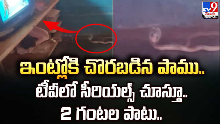 ఇంట్లోకి చొరబడిన పాము.. టీవీలో సీరియల్స్ చూస్తూ.. 2 గంటల పాటు.. ఇంట్లోకి చొరబడిన పాము.. టీవీలో సీరియల్స్ చూస్తూ.. 2 గంటల పాటు..