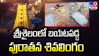 Viral Video: గజరాజుకు కోపం వస్తే ఇంతే మరీ.. వీడియో చూస్తే గుండె ప్యాంట్‌లోకి రావాల్సిందే..