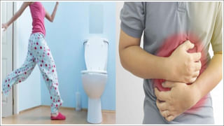 Masala Green Tea: ఈ సీజన్‌లో దగ్గు, జలుబు నుంచి ఉపశమనం కోసం మసాలా గ్రీన్ టీ బెస్ట్ ఎంపిక.. రెసిపీ మీ కోసం..