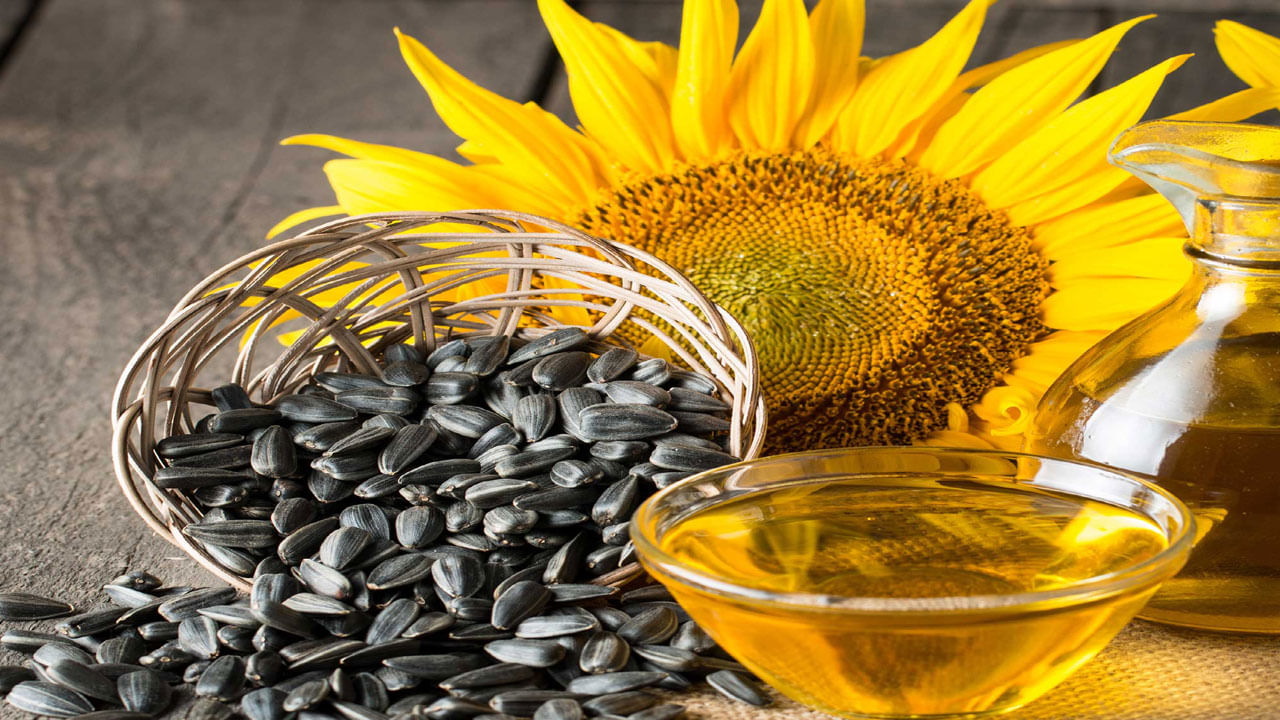 Sunflower Seeds: సన్ ఫ్లవర్ సీడ్స్ తింటున్నారా.. ఈ విషయాలు మీ కోసమే!