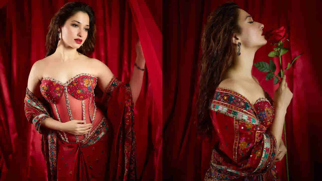 Tamannah: వామ్మో.. తమన్నా ఇరగదీసింది.. హారర్ కామెడీలో మిల్కీబ్యూటీ స్పెషల్ సాంగ్..