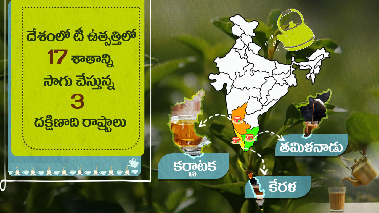 Tea Market In India 5