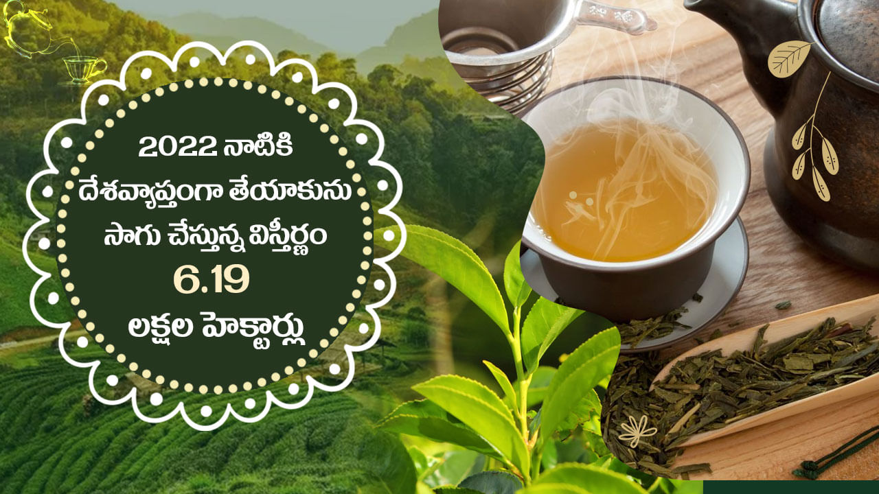 Tea Market In India 6