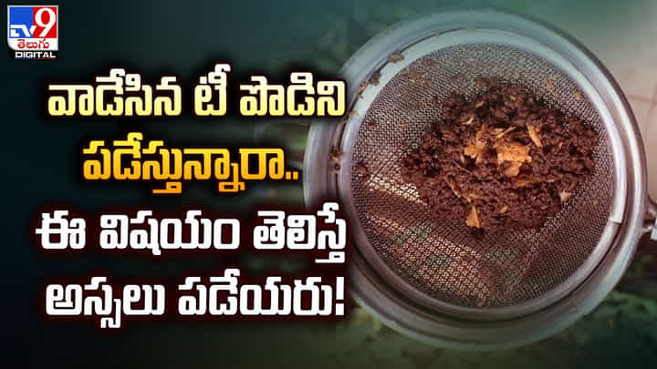 వాడేసిన టీ పొడిని పడేస్తున్నారా.. ఈ విషయం తెలిస్తే అస్సలు పడేయరు !! వాడేసిన టీ పొడిని పడేస్తున్నారా.. ఈ విషయం తెలిస్తే అస్సలు పడేయరు !!