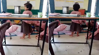 పిల్లిని దేవతగా పూజించే వింత ఆచారం.. శుభసూచకంగా గ్రామం నడిబొడ్డున ఆలయం.. వెయ్యేళ్లుగా..