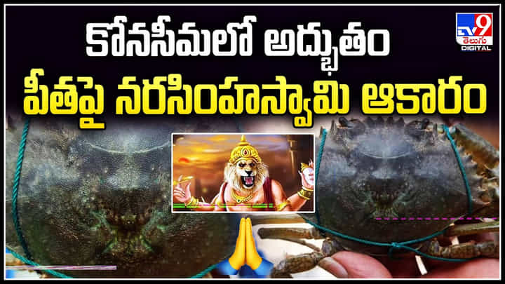 Narasimha Swamy: పీతపై నరసింహస్వామి ఆకారం.. కోనసీమలో అద్భుతం.! వీడియో.. Narasimha Swamy: పీతపై నరసింహస్వామి ఆకారం.. కోనసీమలో అద్భుతం.! వీడియో..
