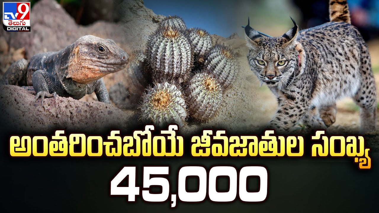 అంతరించబోయే జీవజాతుల సంఖ్య 45,000 !! జాబితాలో బ్రహ్మజెముడు మొక్కలు