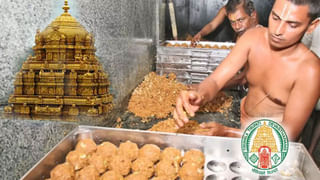 Tirumala Laddu: ఆయన ఉన్నప్పుడే గోల్‌మాల్‌ జరిగింది.. టీటీడీ మాజీ సభ్యుడు సంచలన వ్యాఖ్యలు