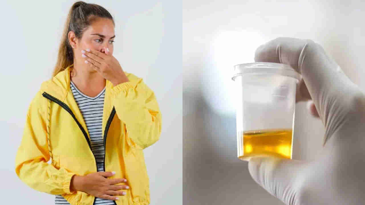 Urine Smell: మూత్రం దుర్వాసన వస్తోందా? అయితే, ఇది ప్రాణాంతక వ్యాధి కావొచ్చు..