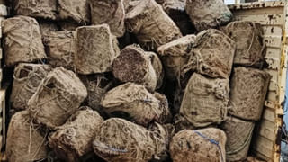 Bogota Waterfalls: బొగత జలపాతాలకు పోటెత్తిన వరద.. పర్యాటకుల తాకిడితో అధికారుల కీలక నిర్ణయం..!