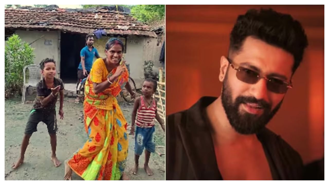 Viral Video: ఈ మహిళ చేసిన 'తోబా తోబా' డ్యాన్స్‌కు.. విక్కీనే రియాక్ట్ అయ్యాడు..