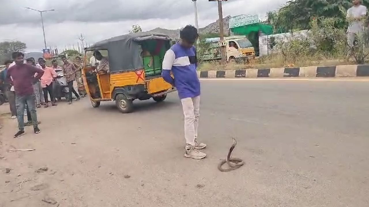 Viral Video: పీకలదాకా తాగి నాగుపాముతో పరాచకాలు.. ఆ తర్వాత ఏం జరిగిందంటే.. షాకింగ్ వీడియో