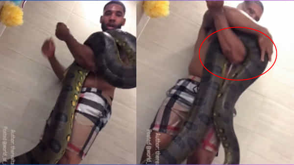 Viral Video: ఎన్ని గుండెలు మావా.. భారీ కొండచిలువకు స్నానం చేయిస్తూ.. చూస్తే సుస్సుపోసుకోవాల్సిందే