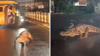 Ganga Ghat Viral Video: హరిద్వార్‌లోని గంగా ఘాట్ వద్ద ప్రత్యక్షమైన పాము..! ఆ తర్వాత ఏం జరిగిందంటే..!!