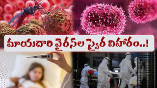 Personality Test: ఈ ఫోటోలో మొదట మీకేం కనిపిస్తోంది.. అదే మీ వ్యక్తిత్వాన్ని చెబుతుందట