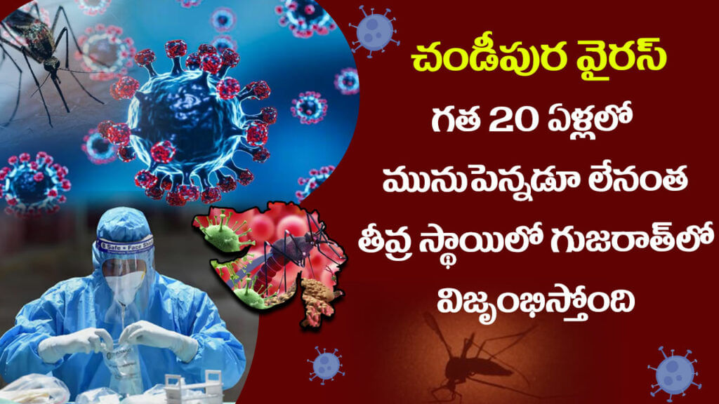 Virus Fears In India2