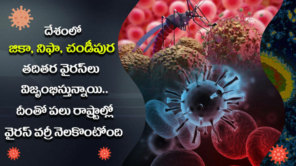 Virus Fears In India3