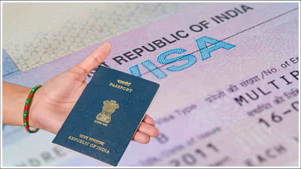 International Trip: ఈ టిప్స్ పాటిస్తే వీసా సమస్యలకు చెక్.. మీ విదేశీ ప్రయాణం ఇలా సులభతరం..