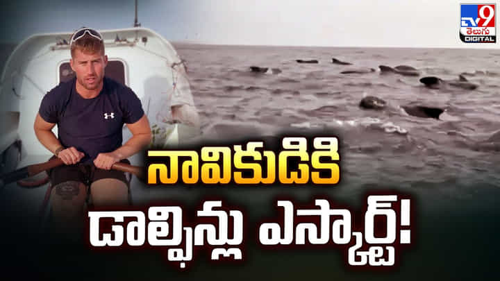 చిన్న బోటులో పెడలింగ్ చేస్తున్న నావికుడికి సర్ప్రైజ్ చిన్న బోటులో పెడలింగ్ చేస్తున్న నావికుడికి సర్ప్రైజ్