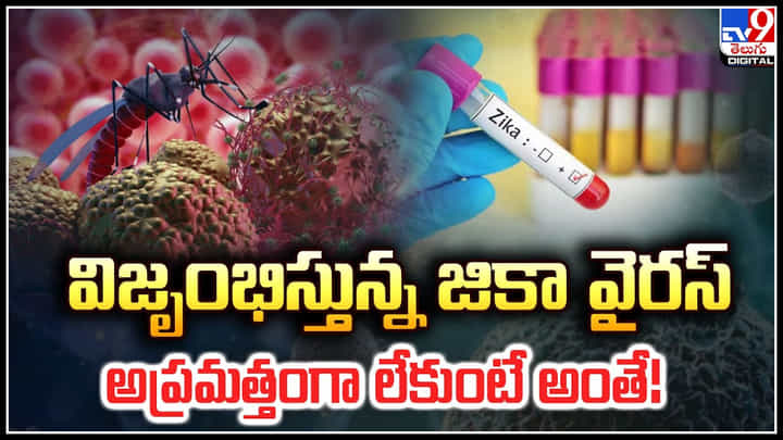 Zika Virus: విజృంభిస్తున్న జికా వైరస్.. అప్రమత్తంగా లేకుంటే అంతే.! Zika Virus: విజృంభిస్తున్న జికా వైరస్.. అప్రమత్తంగా లేకుంటే అంతే.!