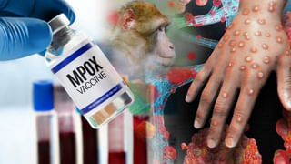 Success Tips: జీవితంలో సక్సెస్ సొంతం చేసుకోవాలంటే.. ఈ 4 పనులు సిగ్గు లేకుండా చేయాలి..