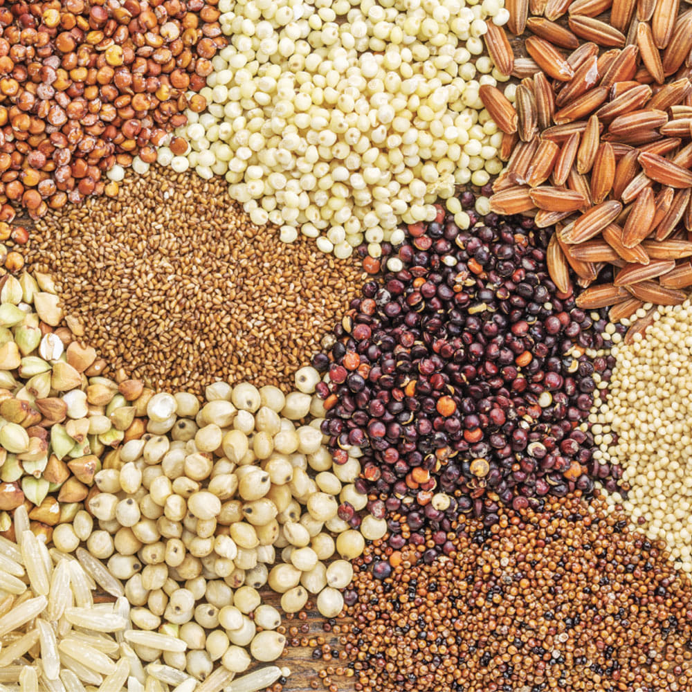 పప్పు ధాన్యాలు: వివిధ రకాల కాయ, పప్పు ధాన్యాల్లో మైక్రో, మ్యాక్రో న్యూట్రియెంట్స్ ఉంటాయి. ఐరన్, ప్రోటీన్, ఫైబర్కు ఇవి బెస్ట్ సోర్స్. వివిధ రకాల పప్పులు తింటే శరీరంలో హిమోగ్లోబిన్ లెవల్స్ పెరుగుతాయి. డైజేషన్ రేట్ పెరిగి, గట్ హెల్త్ కూడా బాగుంటుంది. వీటితో పప్పు, సాంబార్, ఇతర డిషెస్ ప్రిపేర్ చేసుకోవచ్చు.