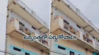Viral Video: ధైర్యం అంటే ఇలా ఉండాలి.. భారీ సర్పానికి చుక్కలు చూపించిన యువతి! వీడియో