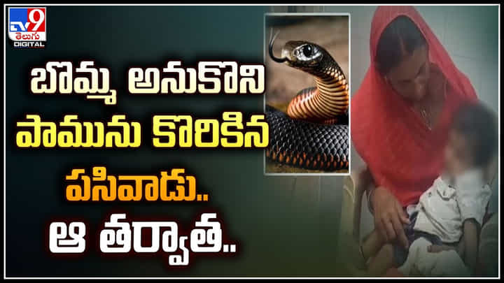 Viral: బొమ్మ అనుకొని పామును కొరికిన పసివాడు.. ఆ తర్వాత.! వీడియో వైరల్.. Viral: బొమ్మ అనుకొని పామును కొరికిన పసివాడు.. ఆ తర్వాత.! వీడియో వైరల్..