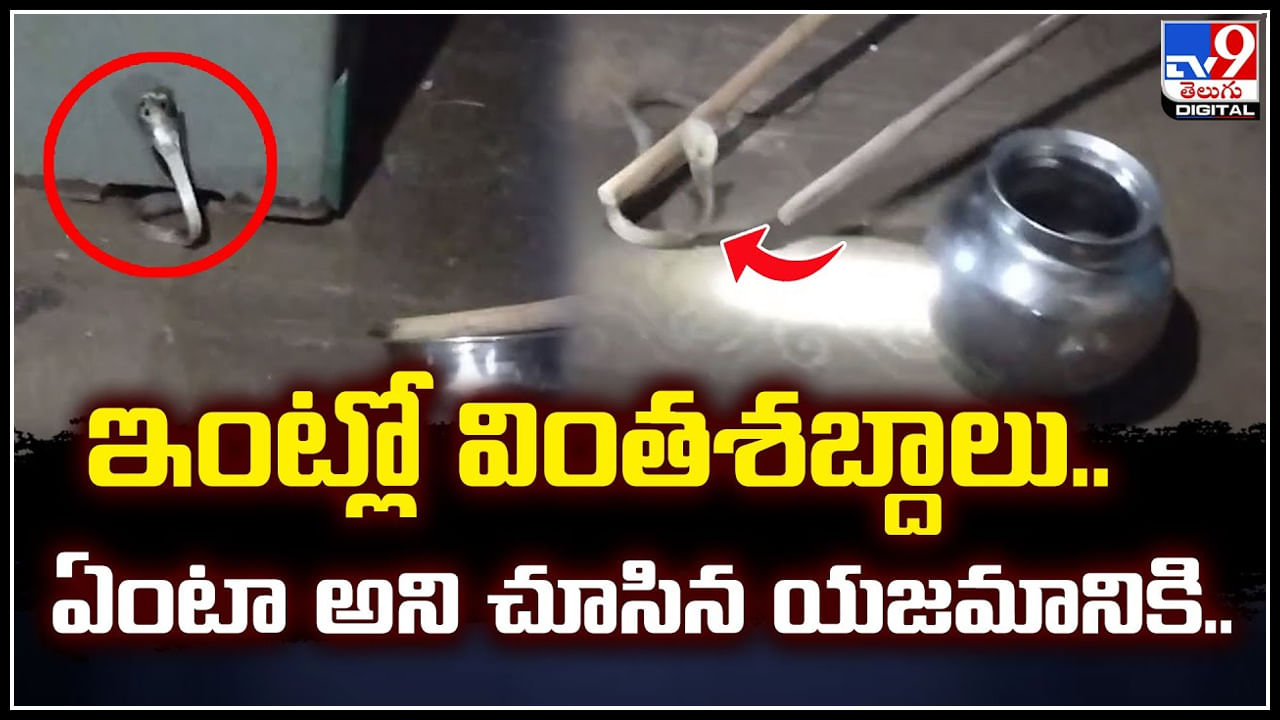 Viral: ఇంట్లో వింతశబ్దాలు.. ఏంటా అని చూసిన యజమానికి షాక్.! వీడియో