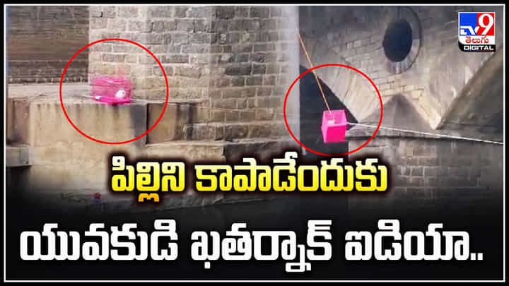 Cat Viral: పిల్లిని కాపాడేందుకు యువకుడి ఖతర్నాక్ ఐడియా.. వీడియో వైరల్.! Cat Viral: పిల్లిని కాపాడేందుకు యువకుడి ఖతర్నాక్ ఐడియా.. వీడియో వైరల్.!