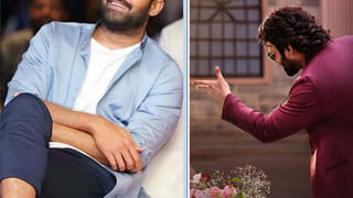 Don Seenu Movie: ‘డాన్ శీను’ సినిమాలో హీరోయిన్ ఫ్రెండ్ గుర్తుందా..? ఆ బ్యూటీని ఇప్పుడు చూస్తే అస్సలు గుర్తుపట్టలేరు..