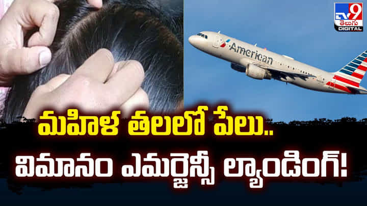 మహిళ తలలో పేలు.. విమానం ఎమర్జెన్సీ ల్యాండింగ్ మహిళ తలలో పేలు.. విమానం ఎమర్జెన్సీ ల్యాండింగ్