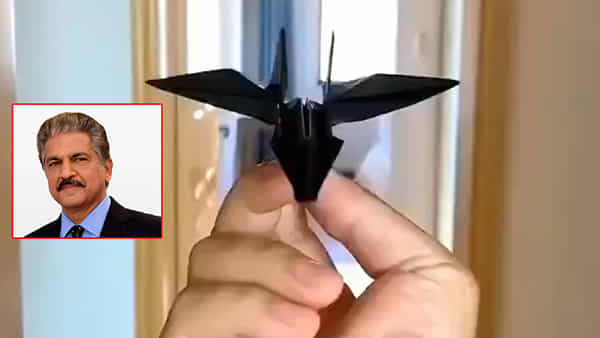Viral Video: ఇంట్రెస్టింగ్ వీడియో షేర్ చేసిన ఆనంద్ మహీంద్ర.. చూస్తే కచ్చితంగా ట్రై చేస్తారు