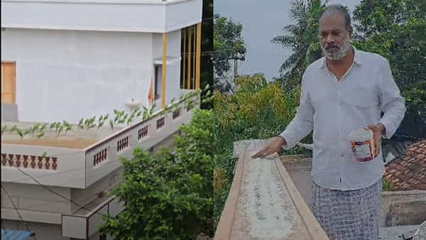 Andhra Pradesh: రామచిలుకల ఆకలి తీరుస్తున్న వ్యక్తి.. ఇంటిపై గుంపులుగుంపులుగా చిలకలు