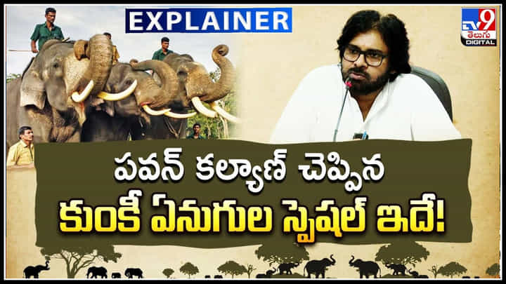Kumki Elephant Specialty: పవన్ కల్యాణ్ చెప్పిన కుంకీ ఏనుగుల స్పెషల్ ఇదే.! వీడియో.. Kumki Elephant Specialty: పవన్ కల్యాణ్ చెప్పిన కుంకీ ఏనుగుల స్పెషల్ ఇదే.! వీడియో..