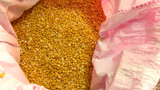 AP News: రైతులకు గుడ్ న్యూస్.. ఇకపై ధాన్యం అమ్మిన 48 గంటల్లోనే.. ఇది కదా కావాల్సింది