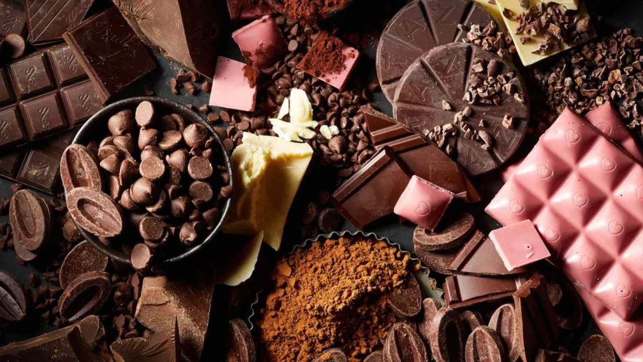 చిన్న పిల్లలకు చాక్లెట్ అస్సలు ఇవ్వకూడదు. ఇది కడుపు నొప్పిని కలిగిస్తుంది. ఇందులోని కెఫిన్, చక్కెర కూడా పిల్లలకు హానికరం.గోధుమలలో గ్లూటెన్ అనే అలెర్జీ కారకం ఉంటుంది. ఇది ఒక సంవత్సరం కంటే తక్కువ వయస్సు ఉన్న పిల్లలకు జీర్ణం చేయడం కష్టం. బదులుగా, ఈ సమయంలో వారికి అన్నం తినిపించవచ్చు.