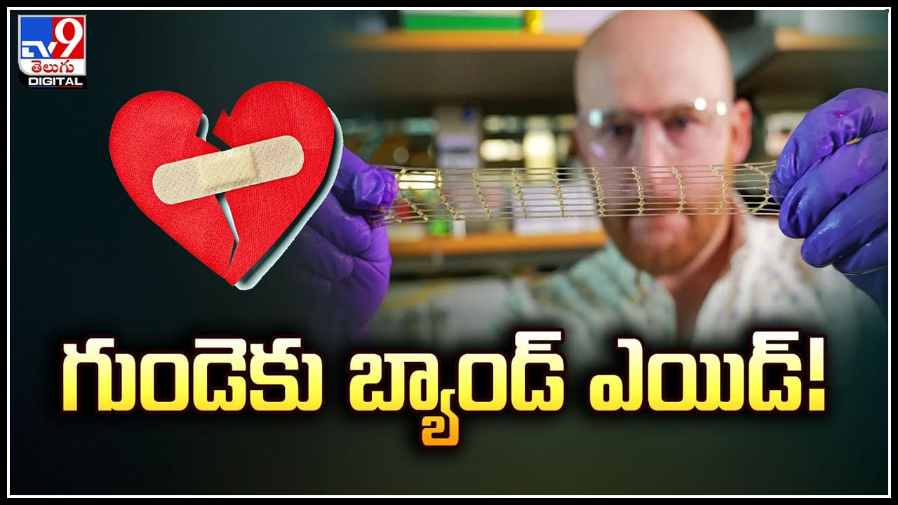 Band Aid for Heart: గుండెకు బ్యాండ్‌ ఎయిడ్‌.! వానపాముల నుంచి స్ఫూర్తి సొందిన శాస్త్రేవేత్తలు