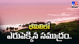 లక్షల రూపాయల మందులు.. ఎలుకలు తినేశాయ్