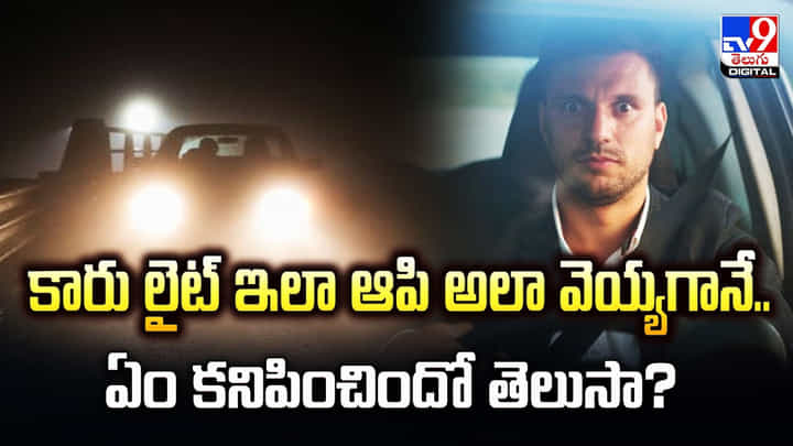 కారు లైట్ ఇలా ఆపి అలా వెయ్యగానే.. ఏం కనిపించిందో తెలుసా ?? కారు లైట్ ఇలా ఆపి అలా వెయ్యగానే.. ఏం కనిపించిందో తెలుసా ??