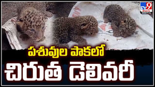 Chickens auction: ఒకటోసారి.. రెండోసారి.. పోలీస్‌స్టేషన్‌లో పందెంకోళ్ల వేలం.