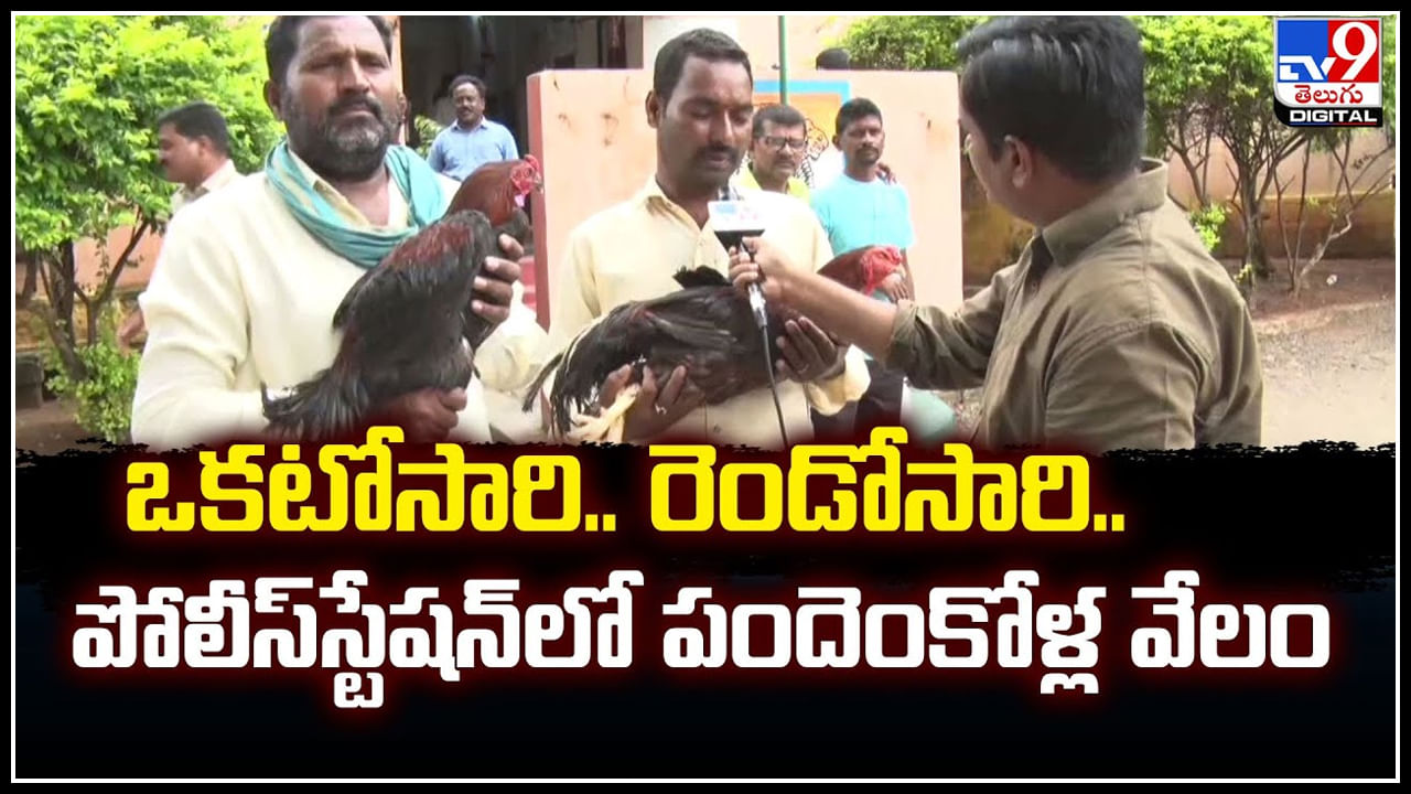 Chickens auction: ఒకటోసారి.. రెండోసారి.. పోలీస్‌స్టేషన్‌లో పందెంకోళ్ల వేలం.