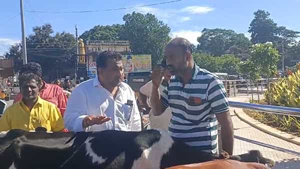 Watch Video: ఆ సమస్యపై పాడి రైతు ఆవేదన.. గాంధీ విగ్రహం వద్ద వినూత్న నిరసన..