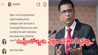 Watch Video: ఉధృతంగా ప్రవహిస్తోన్న నదిలోకి 50 ఆవులను తోసేసిన ఆకతాయిలు.. 20 ఆవులు మృతి!