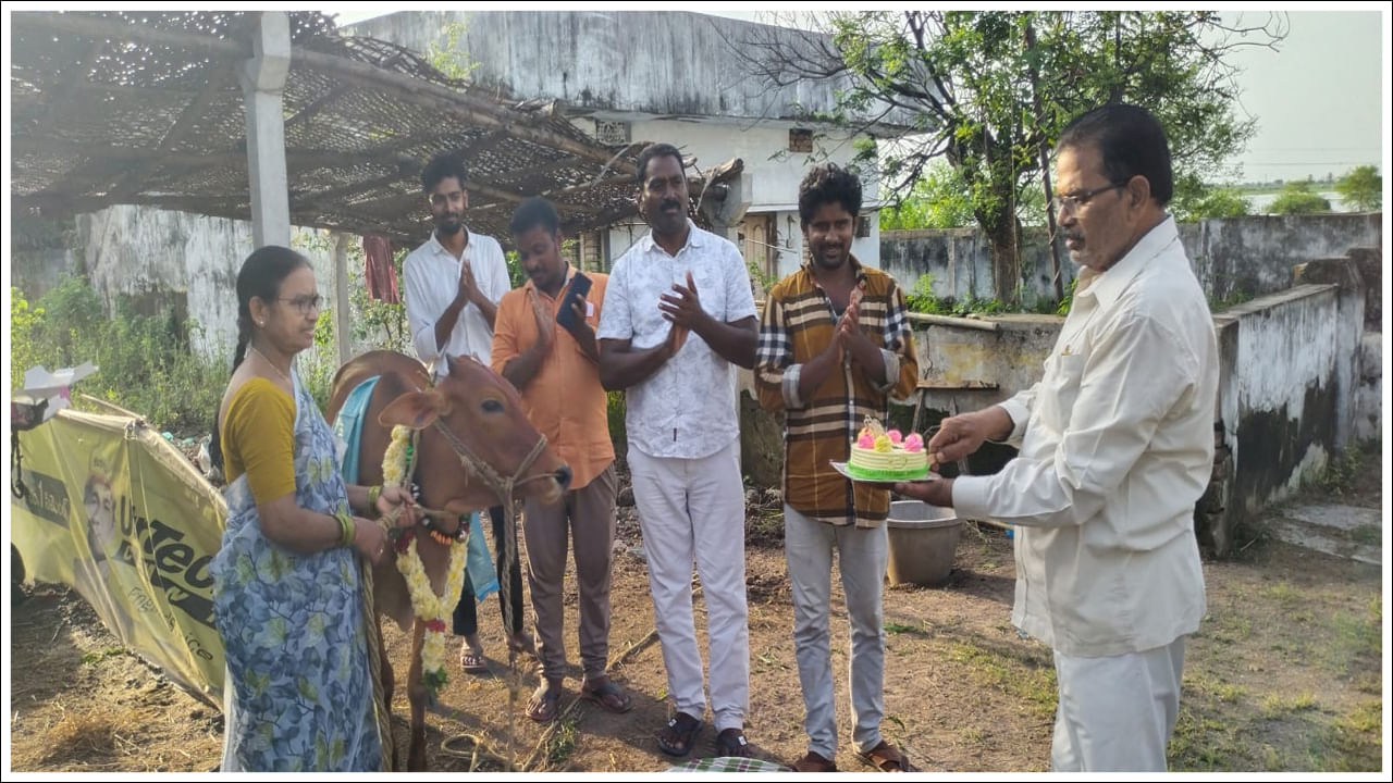 Cow Birthday: ఆవుకు ఘనంగా జన్మదిన వేడుకలు.. పాల్గొన్న స్థానికులు