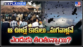 Zaporizhzhia Nuclear Plant: డ్రోన్‌ మంటల్లో ‘జపోరిజియా’ అణు విద్యుత్‌ ప్లాంట్.. ఒకరిపై మరొకరు ఆరోపణలు.